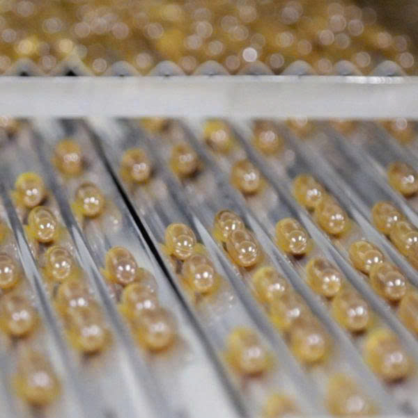 Viên Uống Trầm Hương APAS GOLD - Image 4