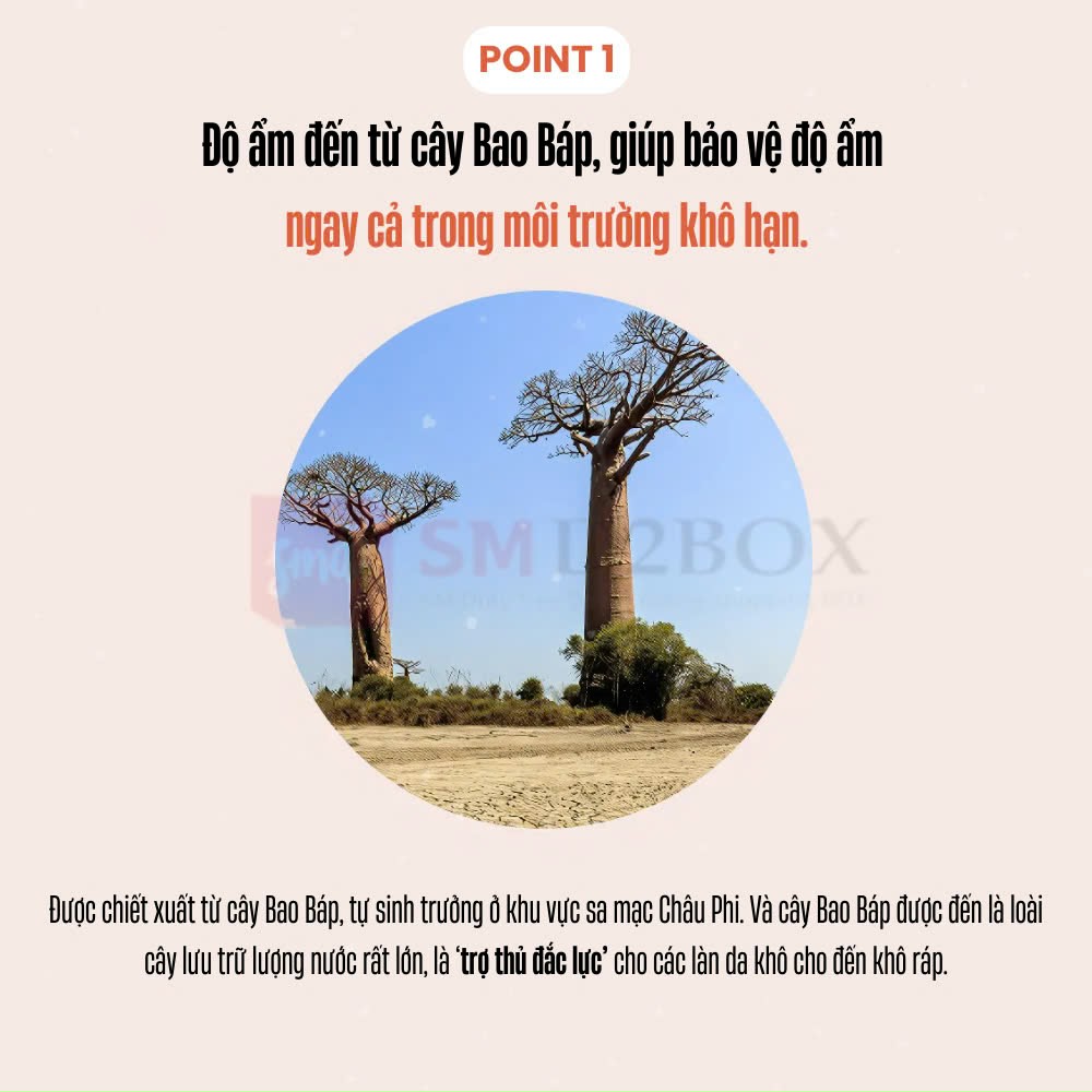 Kem Collagen Cấp Ẩm THE SAEM CARE PLUS BAOBAB COLLAGEN CREAM - Image 3