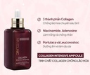 Tinh Chất Collagen Dưỡng Da Và Ngăn Ngừa Lão Hóa Maxclinic Collagen Intensive Ampoule 100ml
